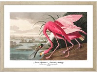 ARS LONGA Obraz FLAMINGO 55 x 75 cm ARS LONGA Obraz FLAMINGO 55 x 75 cm