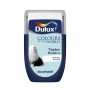 Tester farb Dulux „Lodowy brząsk“: Wałek do malowania ścian w kolorze niebieskim z motywem psa.