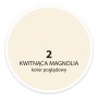 Próbka koloru farby do ścian t.b.t. w odcieniu magnolii.