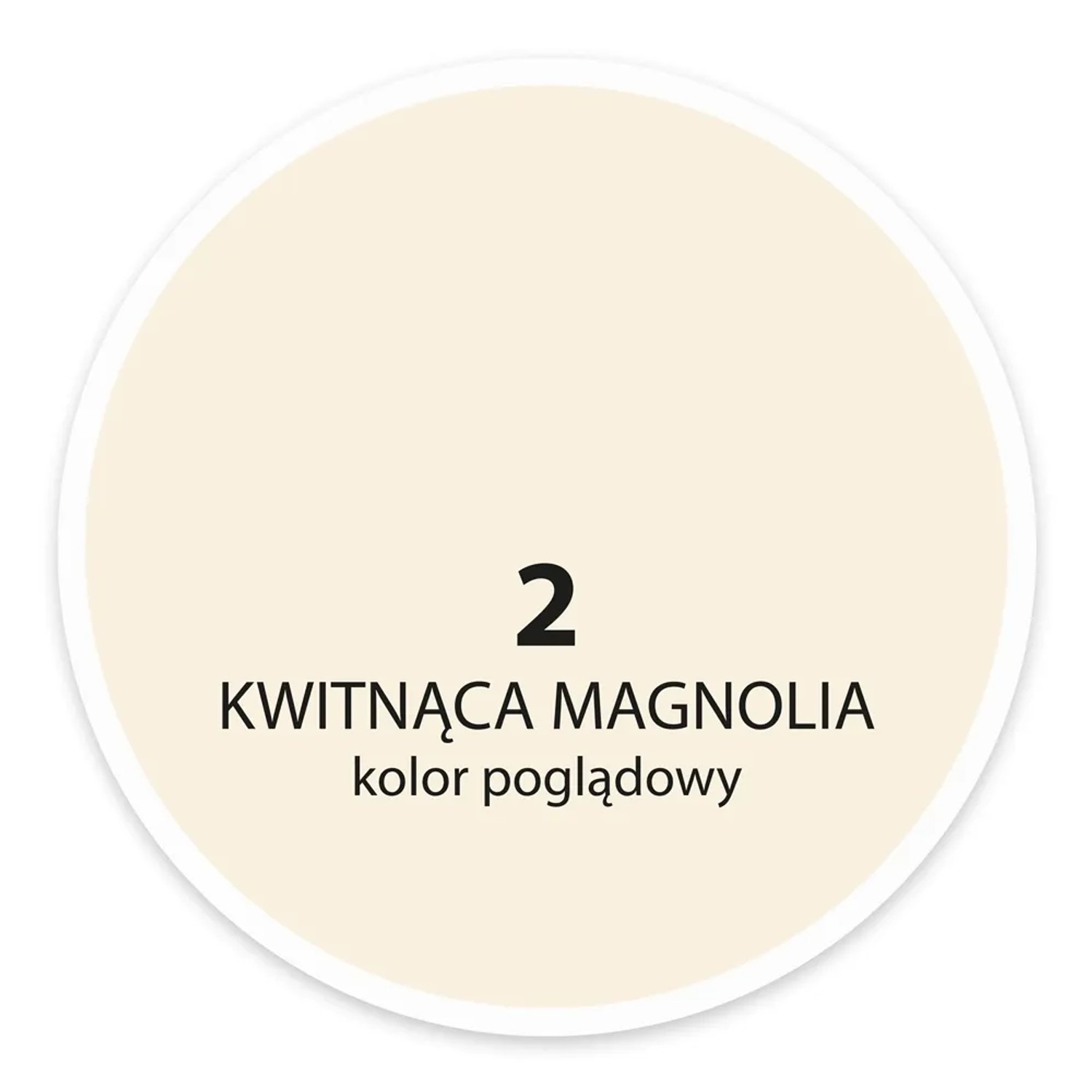 Próbka koloru farby do ścian t.b.t. w odcieniu magnolii.