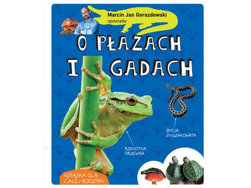 Książka. Marcin Gorazdowski opowiada o płazach i gadach kupuj w OBI