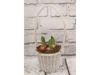 Kompozycja biały kosz - don. 12 cm