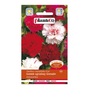 Opakowanie nasion goździków ogrodowych, mieszanka kolorów.