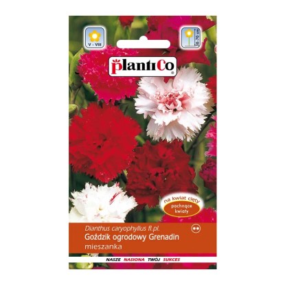 Goździk ogrodowy Grenadin mix
