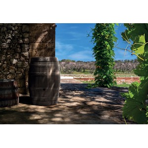 Prosperplast zbiornik na deszczówkę Botaqua umbra - 250 l