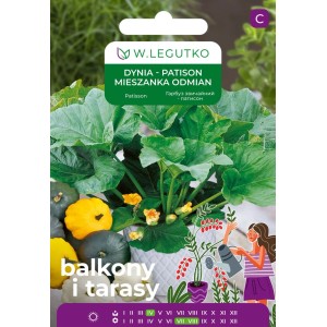 Legutko Dynia zwyczajna mieszanka odmiana 2g