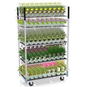 Regał na kółkach z różnymi cieniolubnymi bylinami, np. żółte i fioletowe kwiaty.