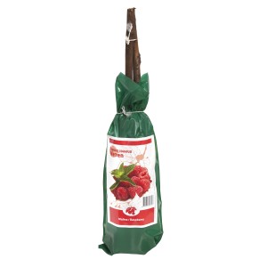 Zapakowana sadzonka maliny t.b.t. w zielonej osłonie.