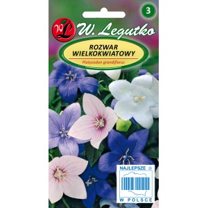 Opakowanie nasion Rozwar wielkokwiatowy (Platycodon grandiflorus) z kwiatami niebieskimi, białymi i różowymi.