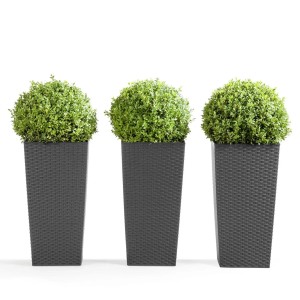 Trzy szare, wysokie donice z zielonymi roślinami, idealne do ogrodu lub na taras.