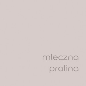 Próbka koloru farby do ścian t.b.t. w odcieniu mleczna pralina. Idealna do wnętrz.