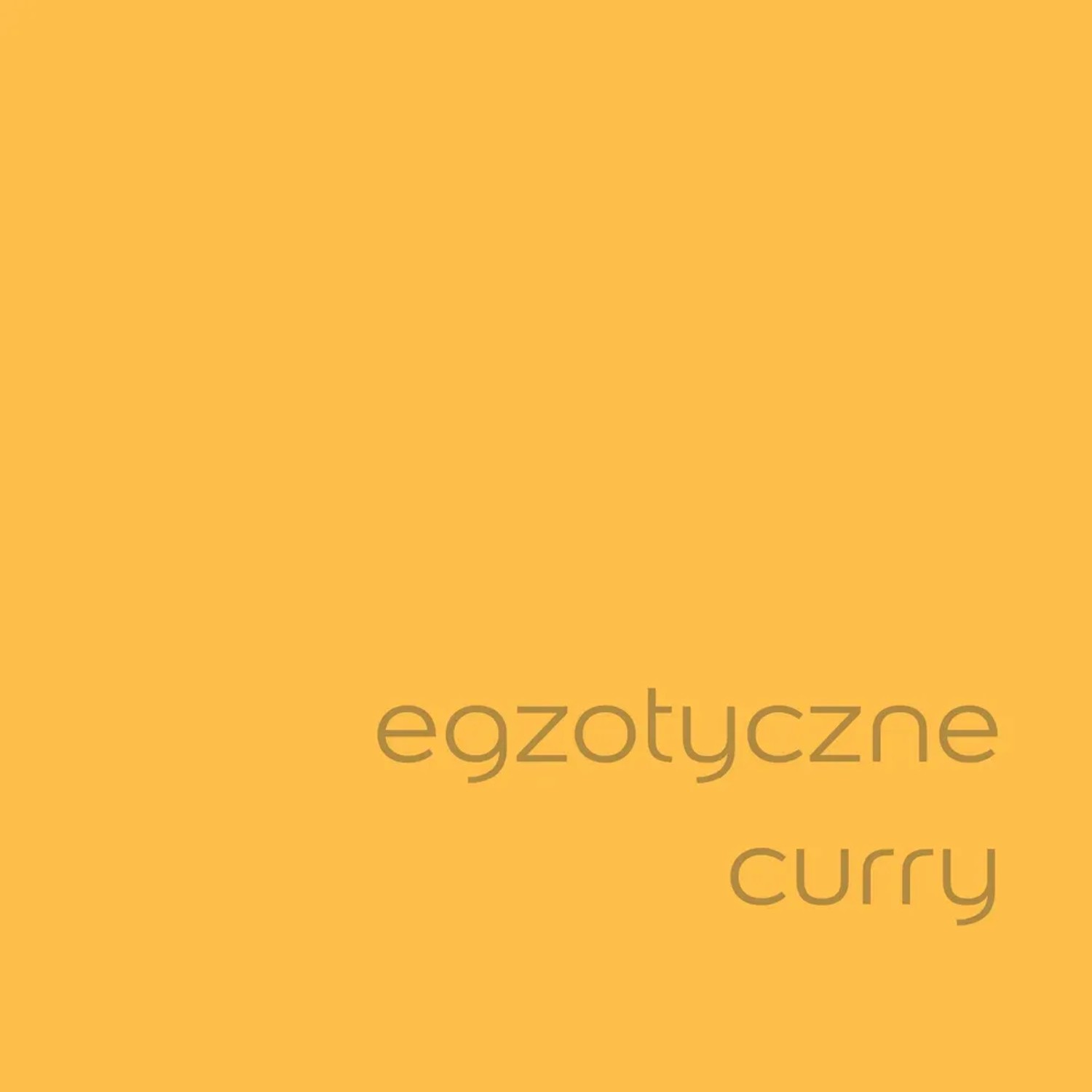 Próbka koloru farby ściennej t.b.t. w odcieniu curry. Kolorowe farby do ścian.