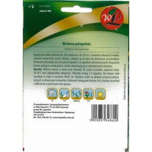 Opakowanie nasion werbeny patagońskiej. Kwitnąca roślina na rabaty i do ogrodu.