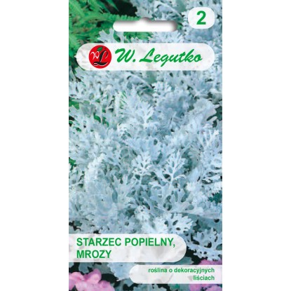 Starzec Mrozy liście sinozielone 0,2 g
