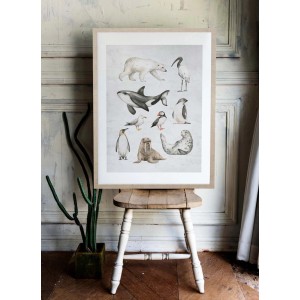 ARS LONGA Obraz OCEAN ANIMALS 53 x 73 cm