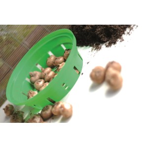 Zielony koszyk do sadzenia z cebulkami kwiatowymi i ziemią, pomoc ogrodnicza.