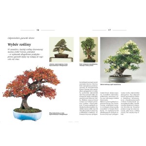 Strona książki z ilustracjami różnych drzewek bonsai.