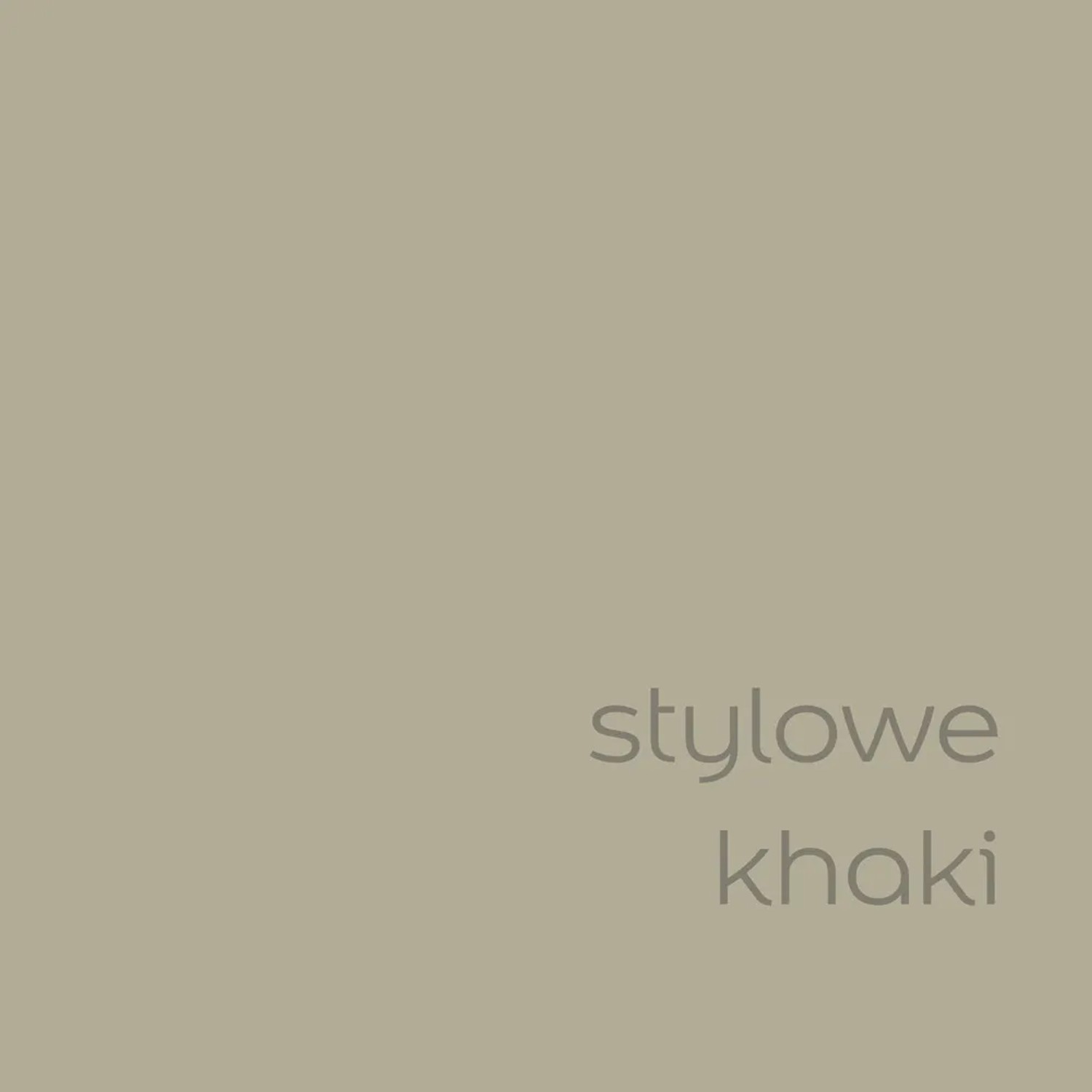 Próbka koloru farby ściennej t.b.t. w kolorze khaki. Kolorowe farby do ścian.