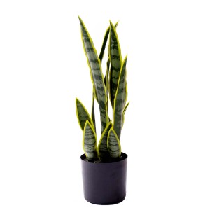 Sztuczna Sansevieria (t.b.t.) w czarnej doniczce. Dekoracyjna sztuczna roślina.