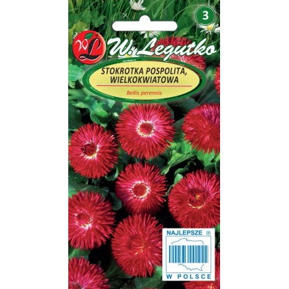 Legutko Stokrotka pospolita czerwona 0,1g