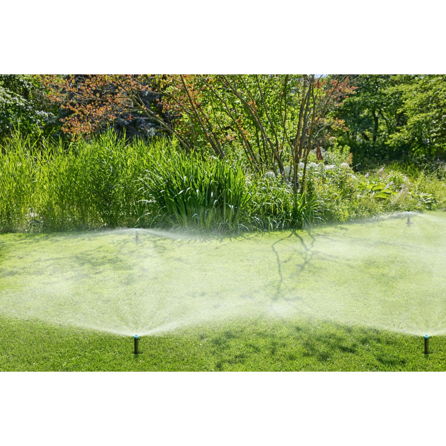 Zraszacz wynurzalny Gardena SD30 w akcji: Automatyczne nawadnianie trawnika w ogrodzie.