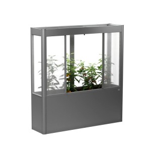 Biohort Szklarnia Florentina Maxi 2 m x 0,5 m Kwarcowo-szary metalik