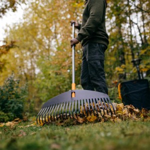 Grabie do liści z liśćmi w ogrodzie. Narzędzie ogrodnicze.