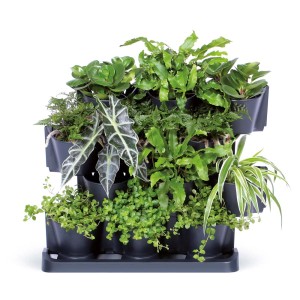 Wielopoziomowa, czarna wisząca doniczka wypełniona różnymi zielonymi roślinami.