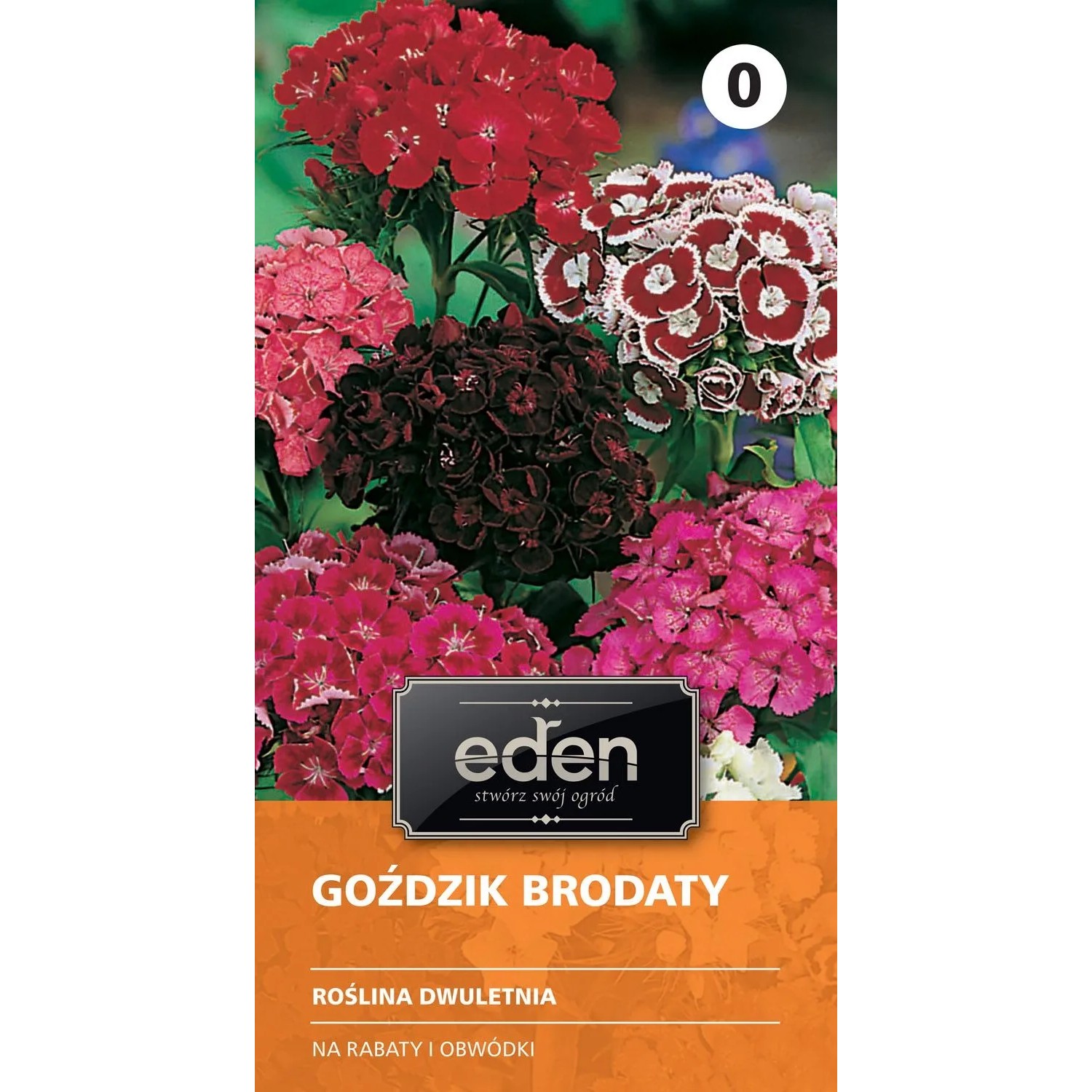 Goździk brodaty mieszanka - 1 g