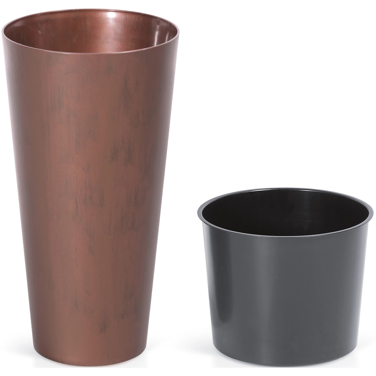 T. Succulent Form × Nizanda T'STROPICALS Nieuwkoop Europe