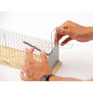 Pułapka koszowa z zapadką na szczury