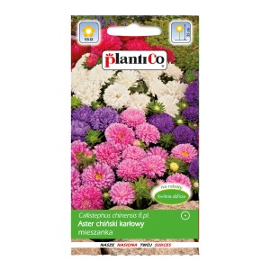 Opakowanie nasion astrów mieszanych: Kolorowe kwiaty do Twojego ogrodu.