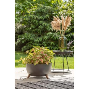 Szara doniczka t.b.t. z drewnianymi nóżkami, obsadzona kolorową rośliną.