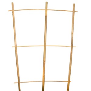 Bambusowa kratka do ogrodu i pergoli, idealna dla roślin pnących.