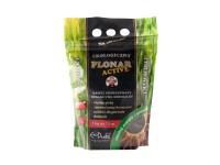Ekodarpol Nawóz Plonar Active trawniki 1 kg.