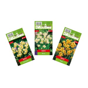 Zdjęcie trzech opakowań cebulek kwiatowych narcyzów różnych odmian.
