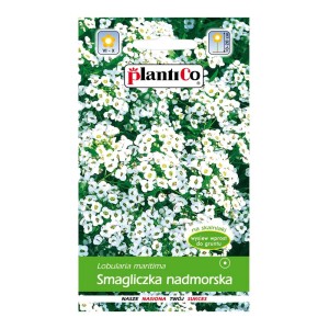 Opakowanie nasion smagliczki nadmorskiej. Białe kwiaty, idealne do skalniaków.