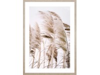 ARS LONGA Obraz PAMPAS GRASS no.2 53 x 73 cm ARS LONGA Obraz PAMPAS GRASS no.2 53 x 73 cm