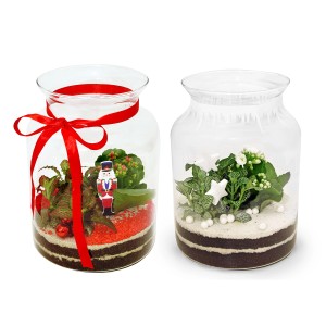 Rośliny w szklanym słoju mix - śr. 15 cm