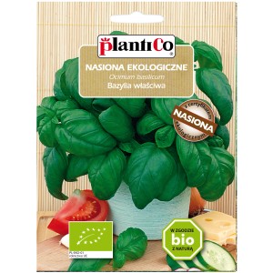 Opakowanie nasion bazylii: Ekologiczne nasiona ziół do ogrodu.