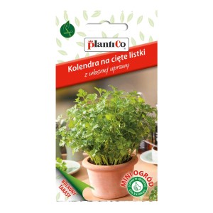 Zdjęcie nasion ziół t.b.t., idealne do uprawy świeżej kolendry.