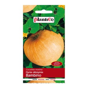 Opakowanie nasion dyni 'Bambino', Nasiona warzyw.