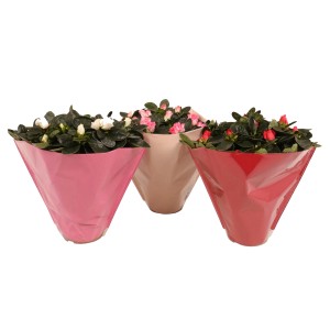 t.b.t. duże rośliny w kolorowych doniczkach (różowy, beżowy, czerwony)