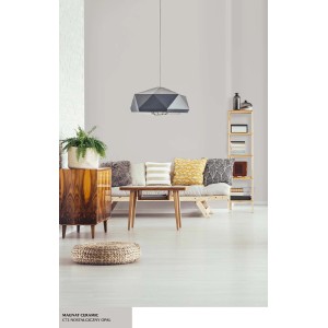 Pokój dzienny z farbą ścienną w jasnoszarym kolorze, Kategoria: Kolorowe farby do ścian.