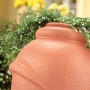 Waterform Aquacan 360 l beczka na deszczówkę terakota, kształt amfory z roślinami.