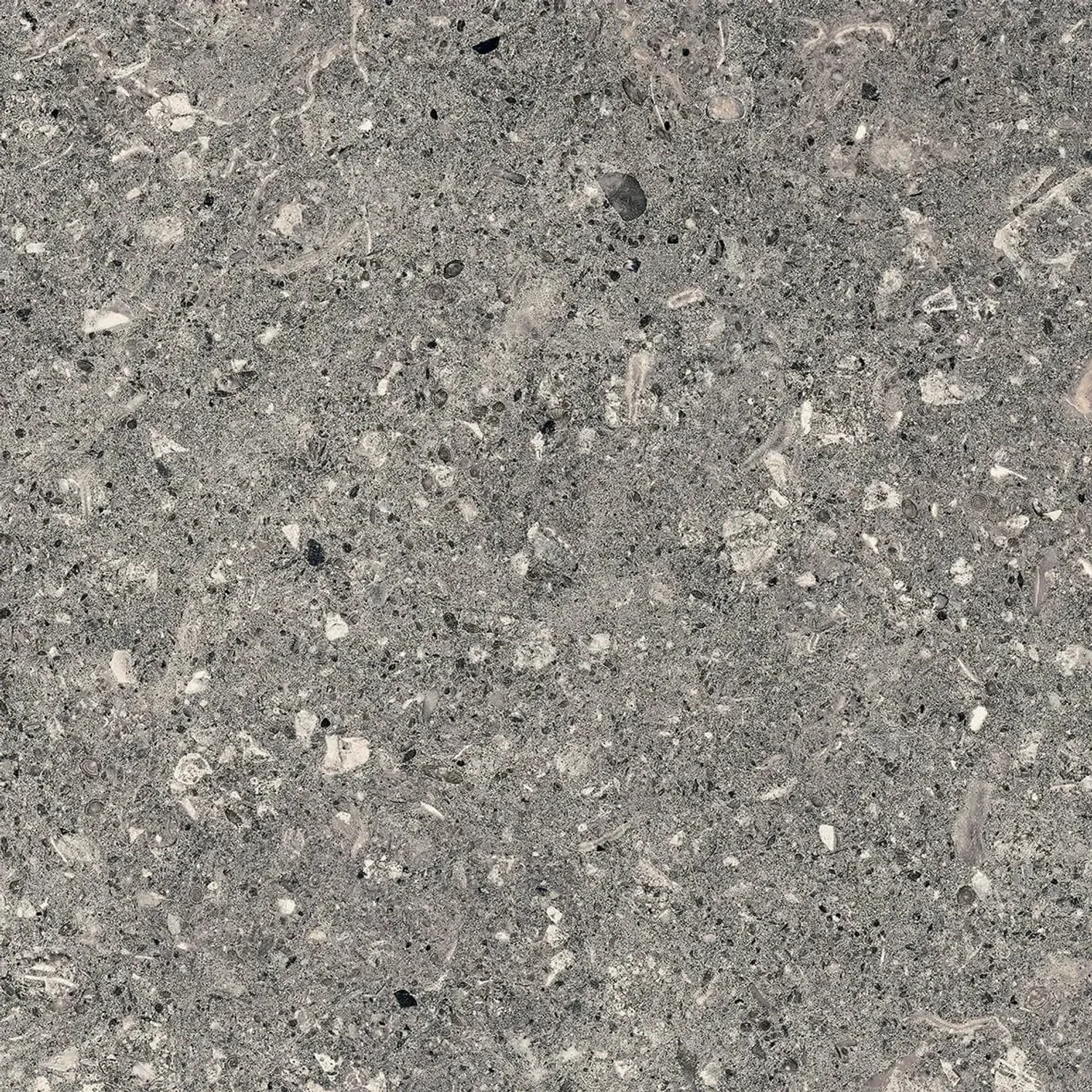 Płytka podłogowa Rockstar grafit 30 x 30 cm