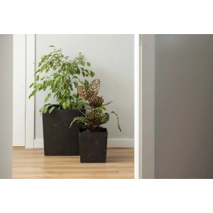 Dwie czarne, kwadratowe donice (t.b.t.) z roślinami doniczkowymi na drewnianej podłodze.