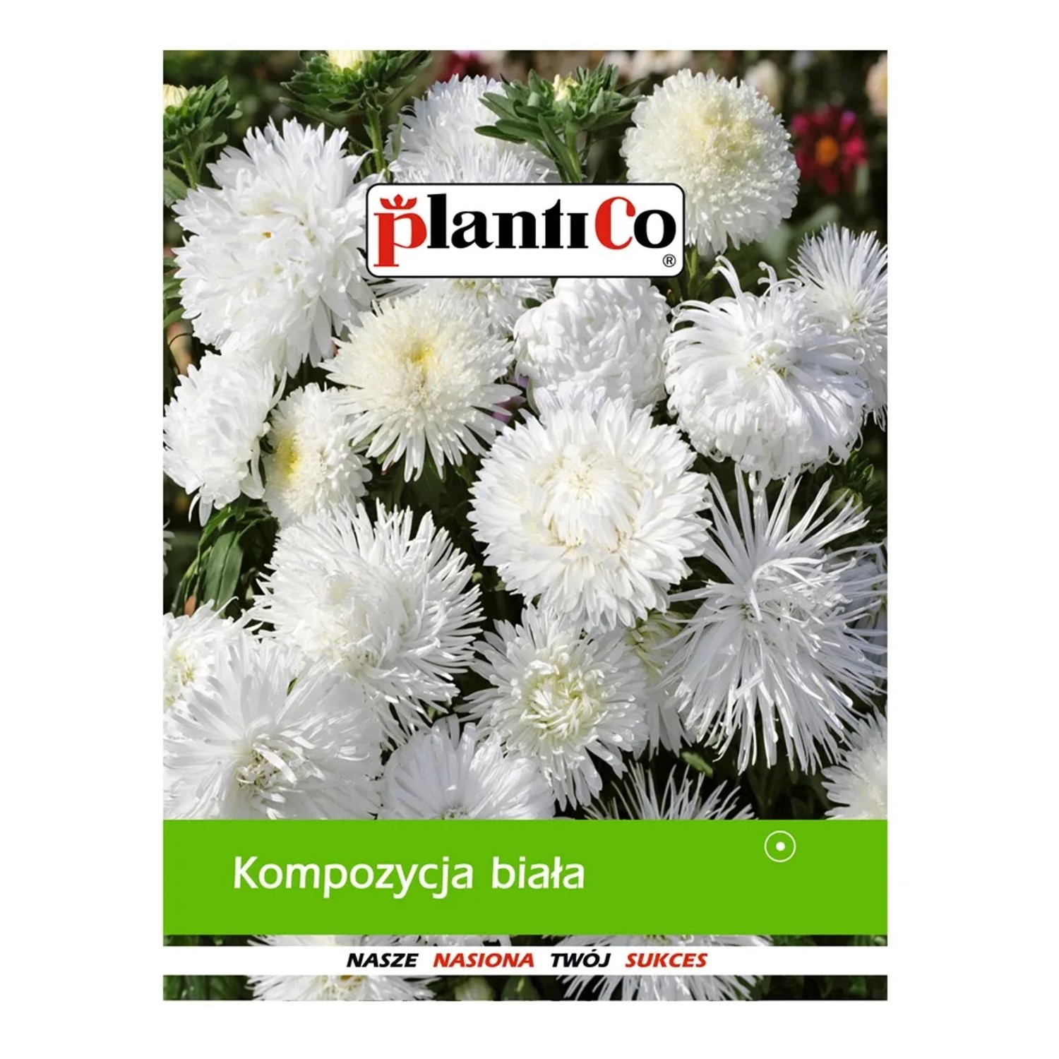 Kompozycja biała