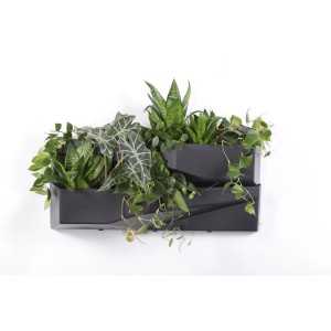 Nowoczesne, szare wiszące doniczki t.b.t. z różnymi zielonymi roślinami.