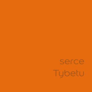 t.b.t. farba do ścian w jaskrawym pomarańczowym kolorze. Idealna do kolorowych akcentów we wnętrzach.